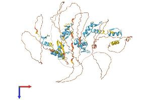 AlphaFold protein structure predicition of Human Recombinant ZXDB Protein, UniprotID P98169