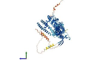 AlphaFold protein structure predicition of Human Recombinant TRPV5 Protein, UniprotID Q9NQA5
