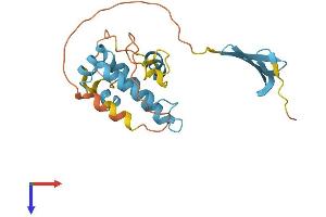 AlphaFold protein structure predicition of Mouse Recombinant Dnajb8 Protein, UniprotID Q9QYI7