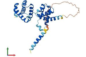 AlphaFold protein structure predicition of Mouse Recombinant Orc6 Protein, UniprotID Q9WUJ8