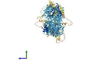 AlphaFold protein structure predicition of Human Recombinant ABCA9 Protein, UniprotID Q8IUA7