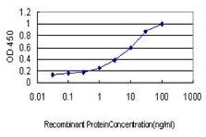 Detection limit for recombinant GST tagged GUCY2D is approximately 0. (GUCY2D anticorps  (AA 521-630))