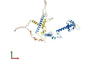 AlphaFold protein structure predicition of Mouse Recombinant Abra Protein, UniprotID Q8BUZ1
