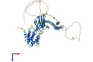AlphaFold protein structure predicition of Mouse Recombinant Gga1 Protein, UniprotID Q8R0H9