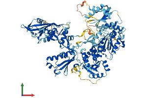 AlphaFold protein structure predicition of Mouse Recombinant Slfn5 Protein, UniprotID Q8CBA2