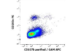 Flow cytometry multicolor surface staining of human anti-IgE antibody stimulated mononuclear cells stained using anti-human CD107b (H4B4) purified antibody (concentration in sample 1,67 μg/mL, GAM APC) and anti-human CD203c (NP4D6) PE antibody (20 μL reagent / 100 μL of peripheral whole blood). (LAMP2 anticorps)