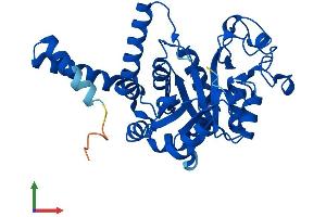 AlphaFold protein structure predicition of Human Recombinant GDE1 Protein, UniprotID Q9NZC3