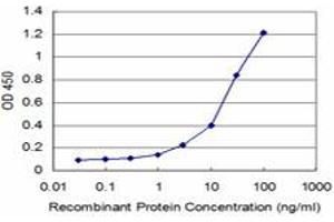 Detection limit for recombinant GST tagged AKT2 is approximately 1ng/ml as a capture antibody. (AKT2 anticorps  (AA 100-189))