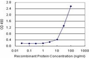 Sandwich ELISA detection sensitivity ranging from 3 ng/mL to 100 ng/mL. (NUMB (Humain) Matched Antibody Pair)