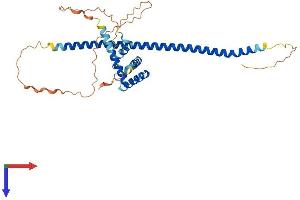 AlphaFold protein structure predicition of Human Recombinant NAIF1 Protein, UniprotID Q69YI7