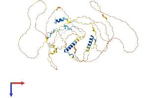 AlphaFold protein structure predicition of Human Recombinant SARG Protein, UniprotID Q9BW04