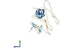 AlphaFold protein structure predicition of Human Recombinant EEIG1 Protein, UniprotID Q5T9C2