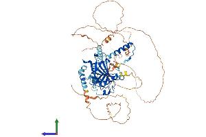 AlphaFold protein structure predicition of Human Recombinant TP73 Protein, UniprotID O15350