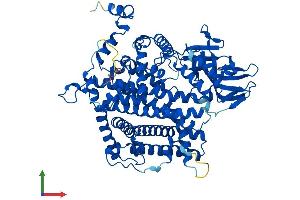 AlphaFold protein structure predicition of Human Recombinant ACOX2 Protein, UniprotID Q99424