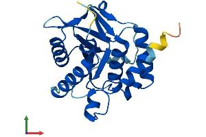 AlphaFold protein structure predicition of Mouse Recombinant Emc9 Protein, UniprotID Q9DB76