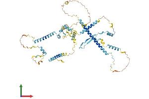 AlphaFold protein structure predicition of Human Recombinant IK Protein, UniprotID Q13123