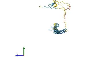 AlphaFold protein structure predicition of Mouse Recombinant Itgb3bp Protein, UniprotID Q9CQ82