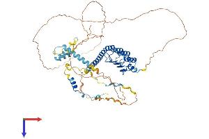 AlphaFold protein structure predicition of Mouse Recombinant Lmod1 Protein, UniprotID Q8BVA4