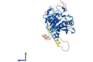 AlphaFold protein structure predicition of Mouse Recombinant Ggta1 Protein, UniprotID P23336