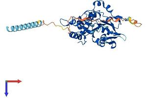 AlphaFold protein structure predicition of Mouse Recombinant Hs3st5 Protein, UniprotID Q8BSL4
