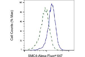 Validation of SMC4 knockdown using flow cytometry. (Recombinant SMC4 anticorps)