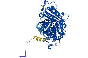 AlphaFold protein structure predicition of Mouse Recombinant Gdi1 Protein, UniprotID P50396