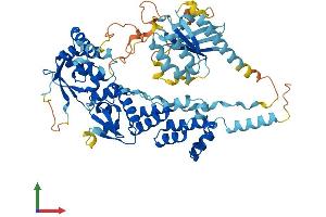 AlphaFold protein structure predicition of Mouse Recombinant Rhobtb3 Protein, UniprotID Q9CTN4