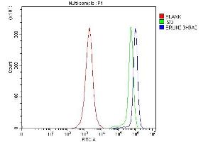 anti-ER Lipid Raft Associated 2 (ERLIN2) (AA 87-339) antibody
