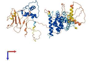 AlphaFold protein structure predicition of Mouse Recombinant Nr2c2 Protein, UniprotID P49117