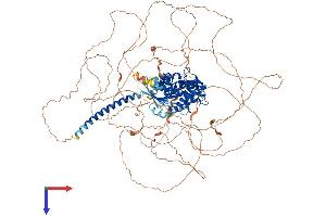 AlphaFold protein structure predicition of Mouse Recombinant Gnas Protein, UniprotID Q6R0H7