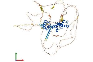 AlphaFold protein structure predicition of Human Recombinant MYB Protein, UniprotID P10242