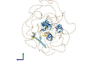 AlphaFold protein structure predicition of Human Recombinant PARD3B Protein, UniprotID Q8TEW8
