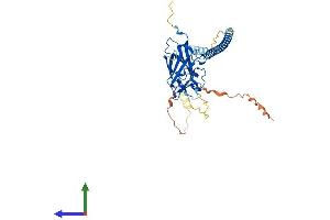 AlphaFold protein structure predicition of Mouse Recombinant Sun5 Protein, UniprotID Q9DA32