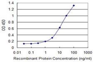 Detection limit for recombinant GST tagged IL1A is 0. (IL1A anticorps  (AA 172-271))