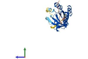 AlphaFold protein structure predicition of Human Recombinant RAB10 Protein, UniprotID P61026