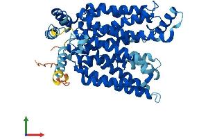AlphaFold protein structure predicition of Human Recombinant SLC2A3 Protein, UniprotID P11169