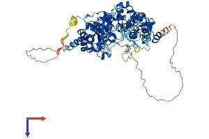 AlphaFold protein structure predicition of Mouse Recombinant Dus3l Protein, UniprotID Q91XI1
