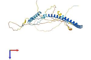 AlphaFold protein structure predicition of Mouse Recombinant Hexim2 Protein, UniprotID Q3TVI4