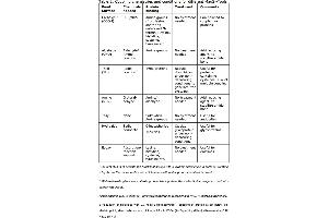 Image no. 1 for MagSi-S Epoxy 600 beads (ABIN1721108) (MagSi-S Epoxy 600 beads)