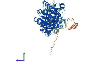 AlphaFold protein structure predicition of Human Recombinant WWOX Protein, UniprotID Q9NZC7
