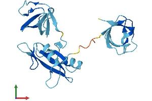 AlphaFold protein structure predicition of Human Recombinant GRAP Protein, UniprotID Q13588