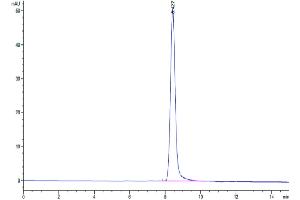 The purity of Human CD228 is greater than 95 % as determined by SEC-HPLC.
