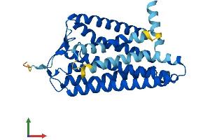 AlphaFold protein structure predicition of Human Recombinant OR52A1 Protein, UniprotID Q9UKL2