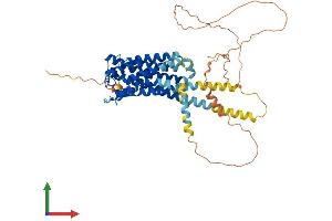 AlphaFold protein structure predicition of Human Recombinant PTGER4 Protein, UniprotID P35408