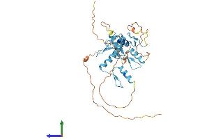 AlphaFold protein structure predicition of Human Recombinant ZNF784 Protein, UniprotID Q8NCA9