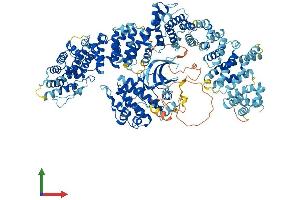 AlphaFold protein structure predicition of Human Recombinant ULK4 Protein, UniprotID Q96C45