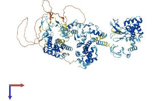 AlphaFold protein structure predicition of Mouse Recombinant Rnf31 Protein, UniprotID Q924T7