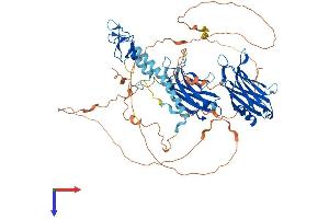 AlphaFold protein structure predicition of Mouse Recombinant Rph3a Protein, UniprotID P47708