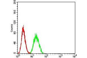 Flow cytometric analysis of Hela cells using SUZ12 mouse mAb (green) and negative control (red).