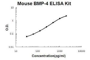 Mouse BMP-4 PicoKine ELISA Kit standard curve (BMP4 Kit ELISA)